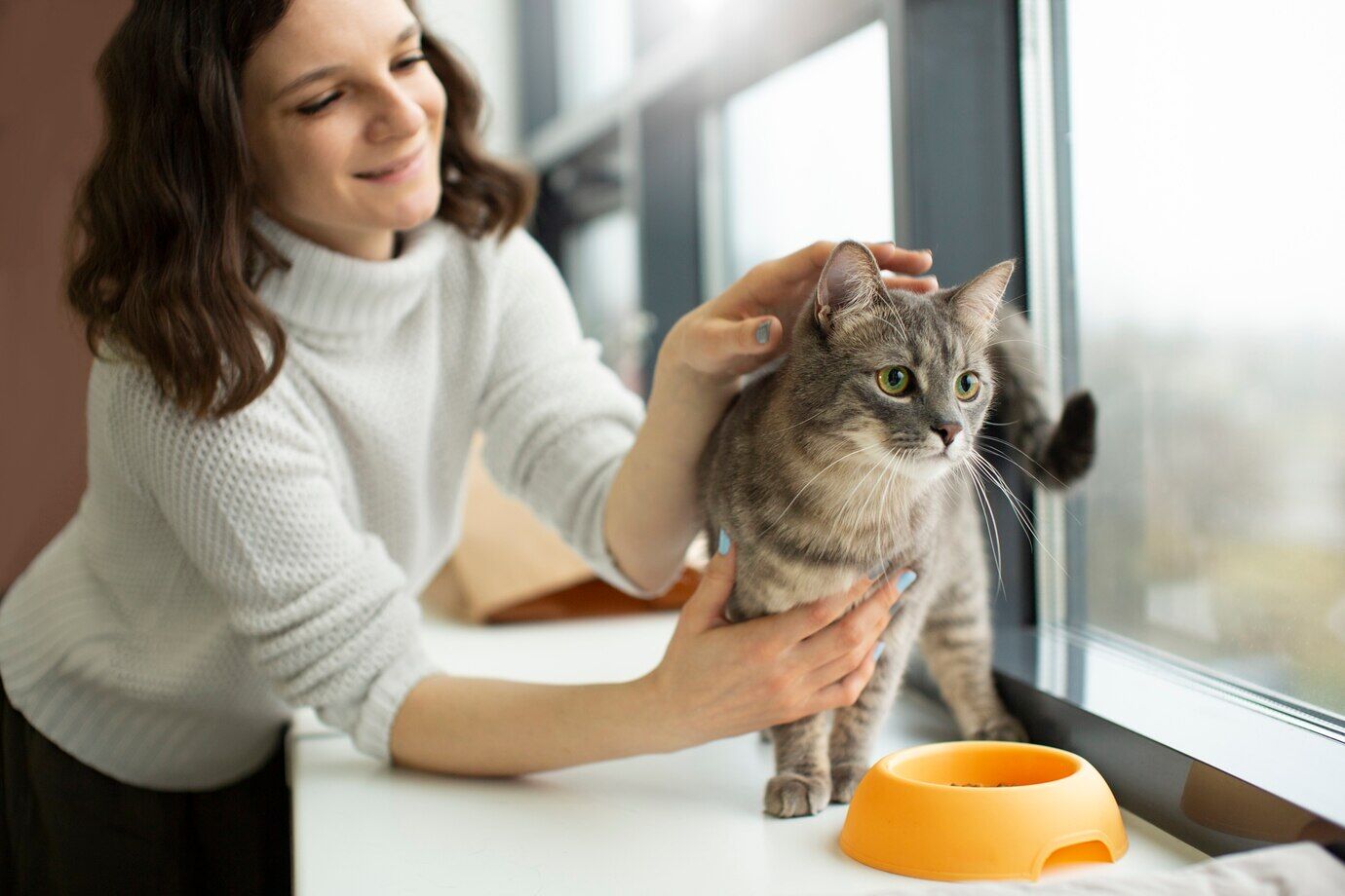 7 tips voor de kattenbak