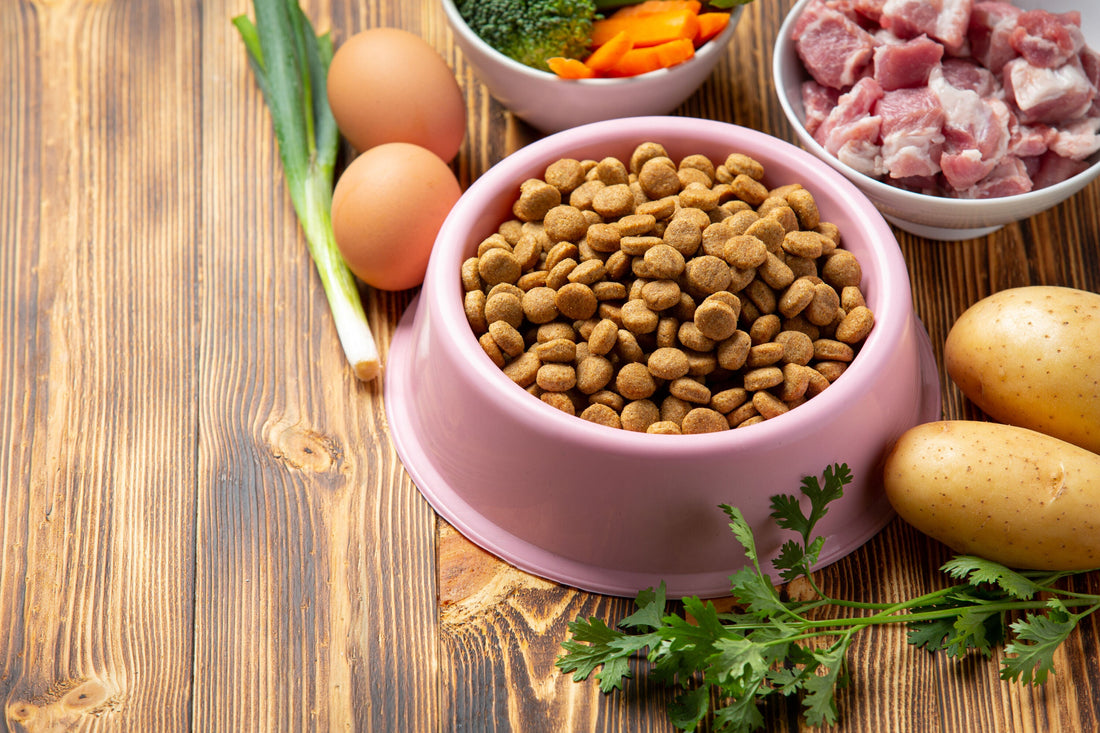 Belangrijke voedingsstoffen & ingrediënten: hier moet je op letten bij kattenvoer