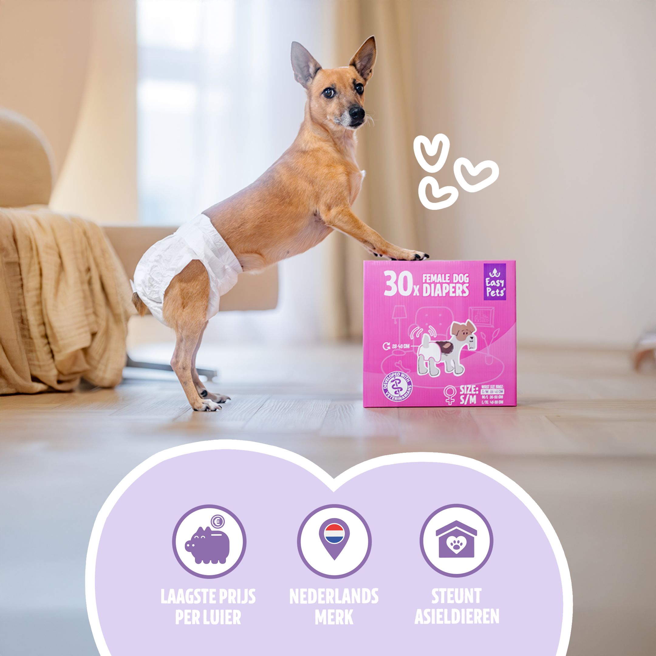 1. laagste prijs per luier 2. Nederlands merk 3. Steunt asieldieren_(1)