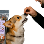 Dog treats soft final