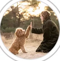 @ourlabradoodeleteddy