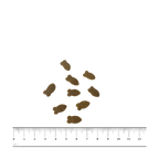 PNG-afbeelding-3FBACEAFEA4F-1