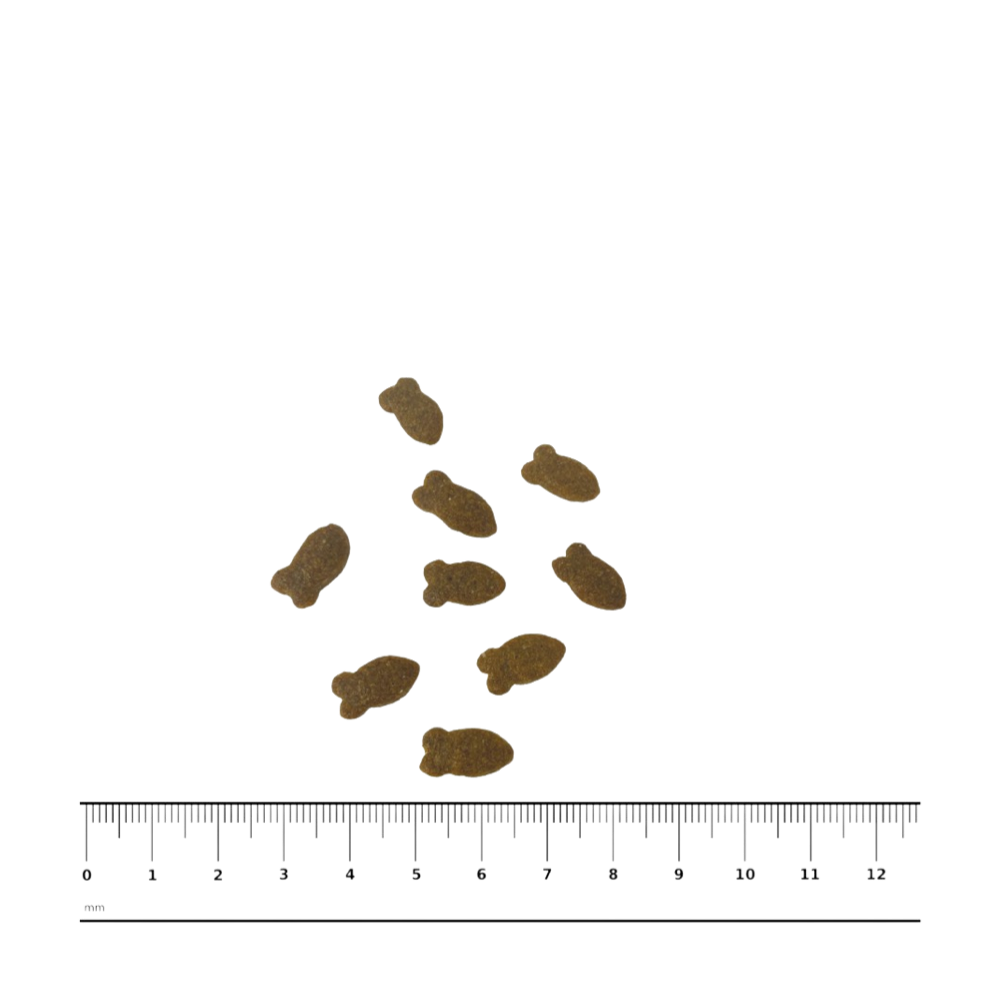 PNG-afbeelding-3FBACEAFEA4F-1