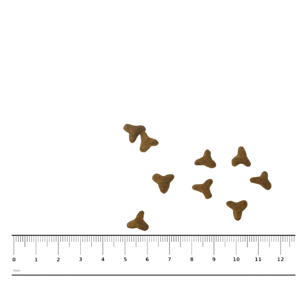 PNG-afbeelding-4680B8BAF728-1