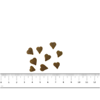 PNG-afbeelding-C8178D31B8CB-1