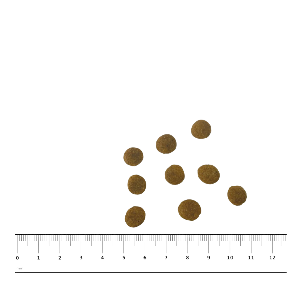 PNG-afbeelding-F7B4CA50D3D5-1