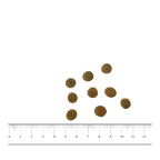 PNG-afbeelding-F7B4CA50D3D5-1