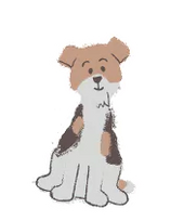 Shop Hond