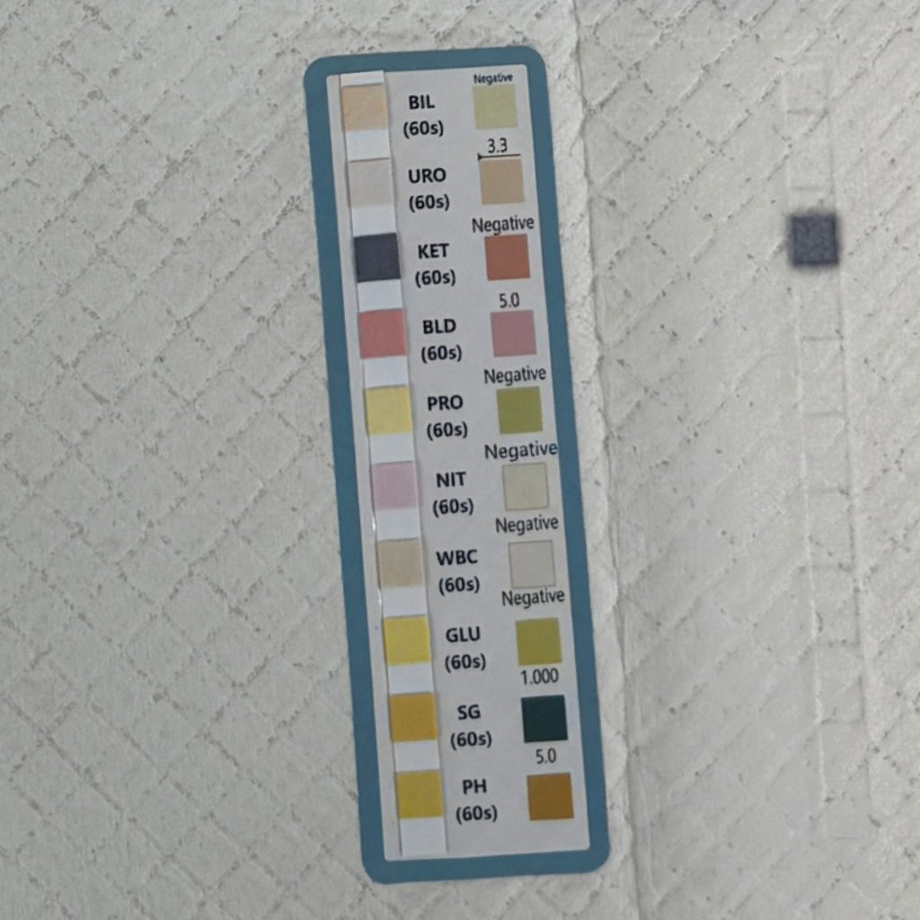 Close-up van de teststrip op de Medpad met de tien velden BIL, URO, KET, BLD, PRO, NIT, WBC, GLU, SG en PH