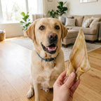 Hond met EasyPets Buffalo Oren Met Vlees kauwsnack