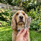 Hond met EasyPets Konijnenoren Met Vacht kauwsnack