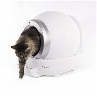 Kat stapt uit de automatische kattenbak