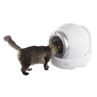 Kat loopt de automatische kattenbak in