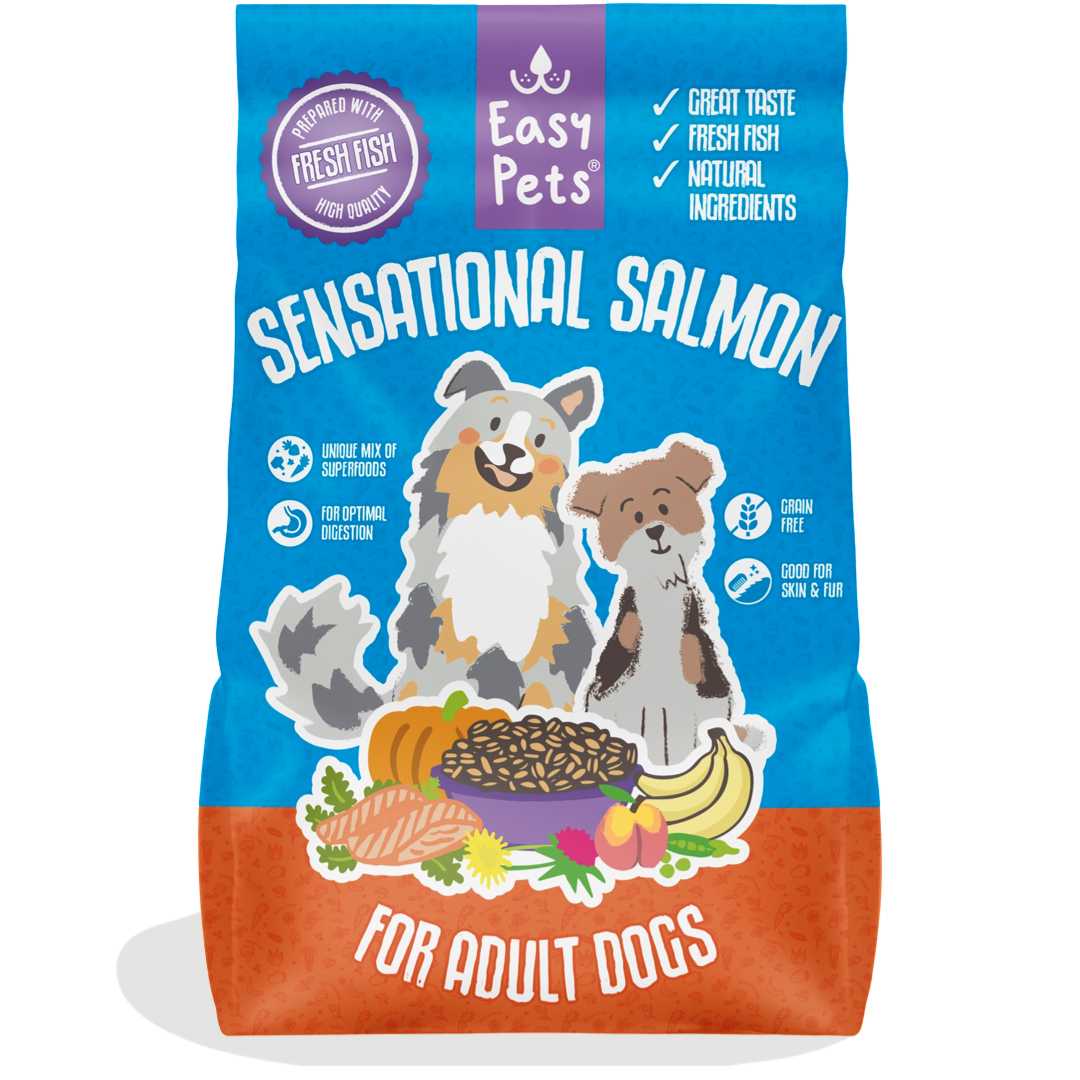Sensational Salmon 